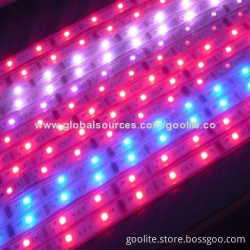 10ICs 30LEDs/m DC12V WS2811 LED Magic Strip Light, Sale on Hot